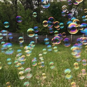 Meet your Posher, Shalayne